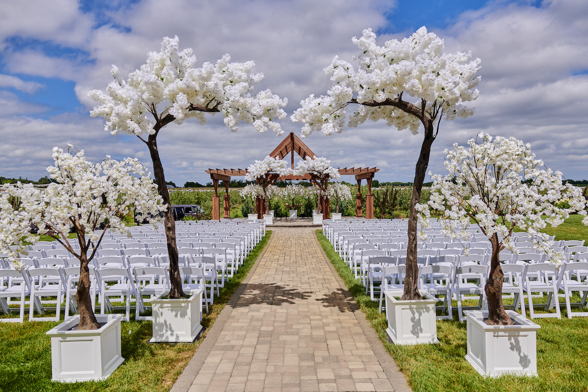 Outdoor wedding ceremony at an apple orchard 