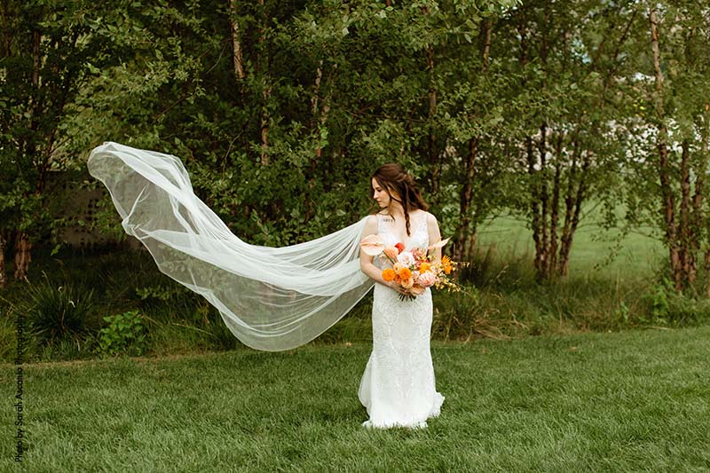 Cathedral tulle bridal veil