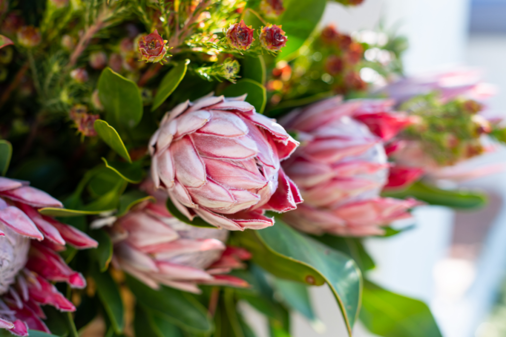 Bridal bouquet with pink protea and greenery