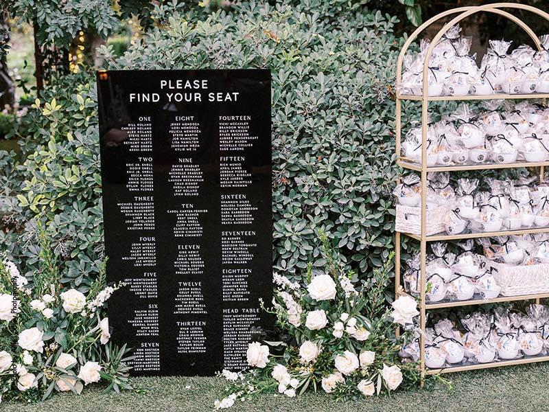 Black acrylic wedding seating chart