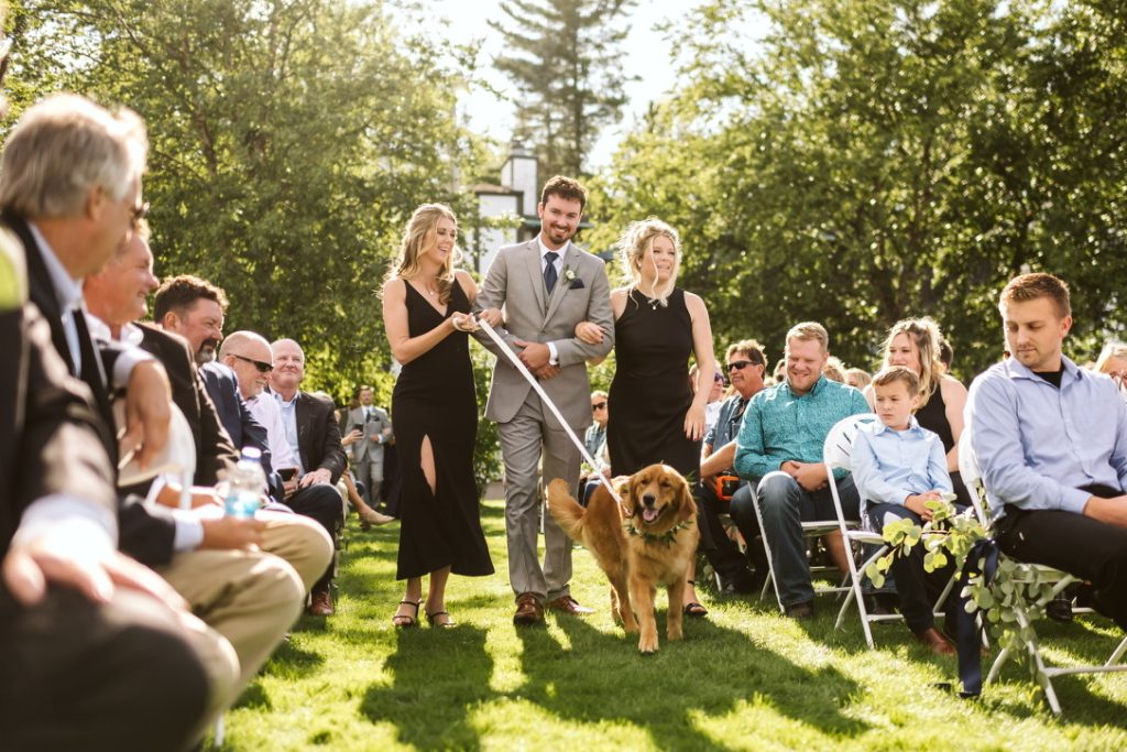 Dogs walk down aisle in wedding ceremony with Becca's MN Pet Care, one of many vendors at unveiled minneapolis