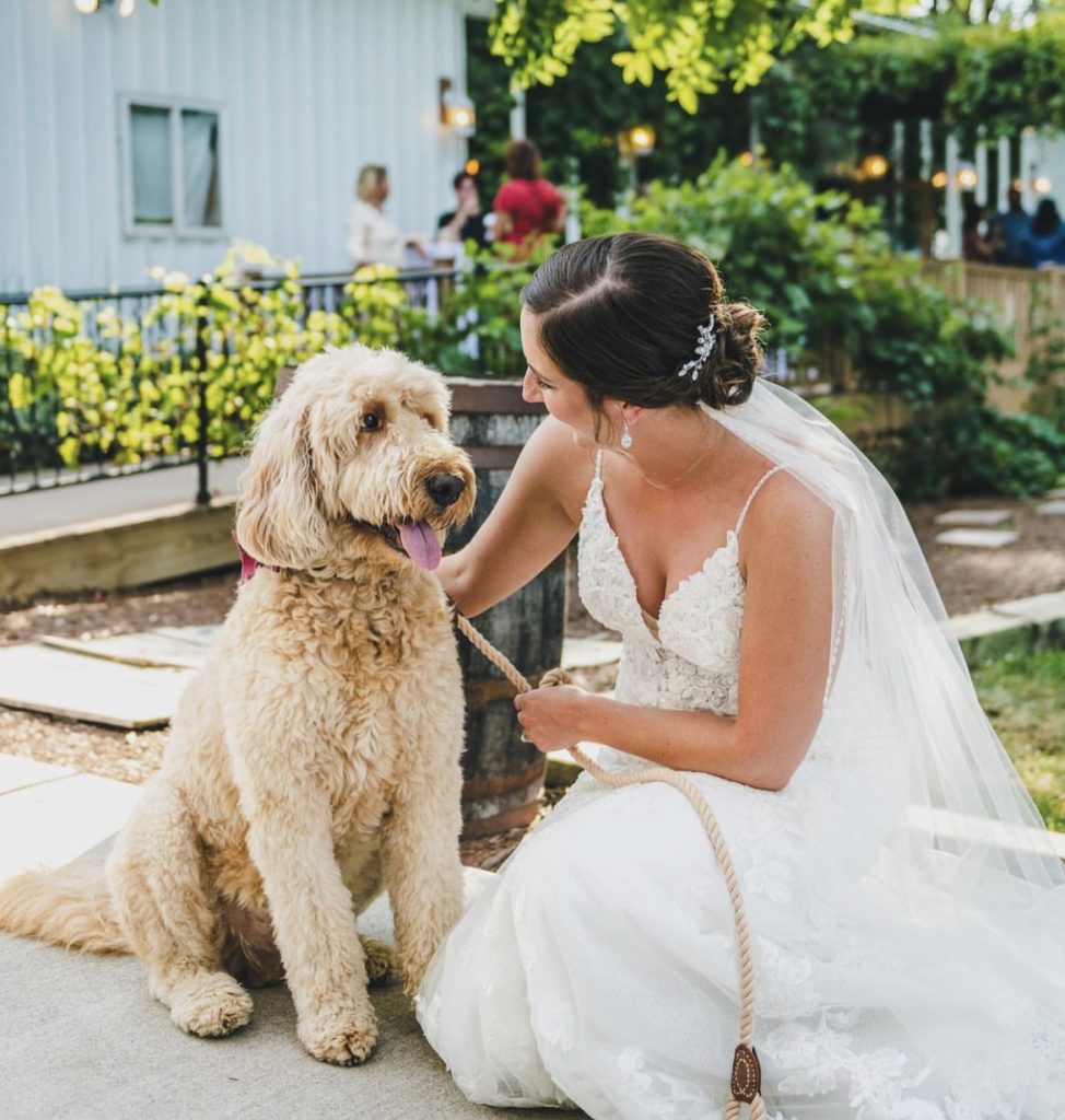 Bride pets dog during wedding